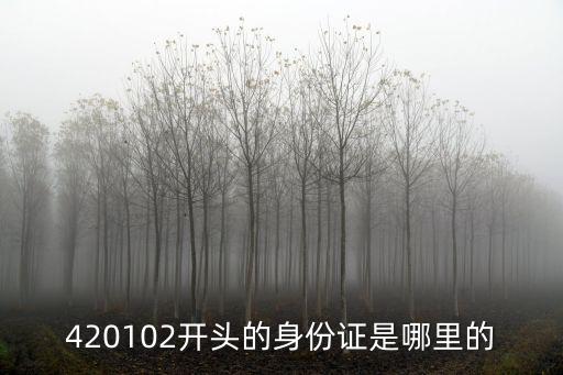 420102開頭的身份證是哪里的