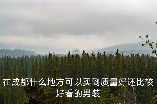 成都地一大道，大家覺得成都地一大道怎么樣有沒有投資的前景
