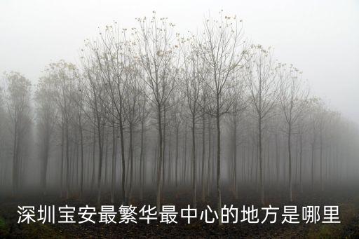 深圳寶安最繁華最中心的地方是哪里