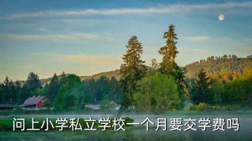 問上小學(xué)私立學(xué)校一個月要交學(xué)費(fèi)嗎