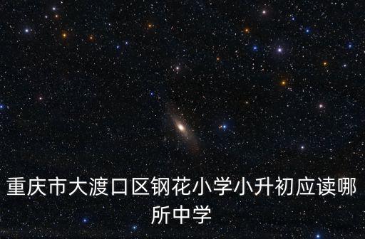 重慶市大渡口區(qū)鋼花小學小升初應(yīng)讀哪所中學