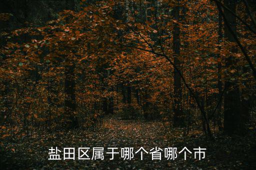鹽田區(qū)屬于哪個(gè)省哪個(gè)市