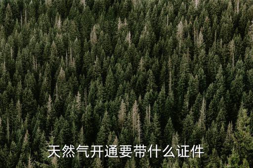 天然氣開通要帶什么證件