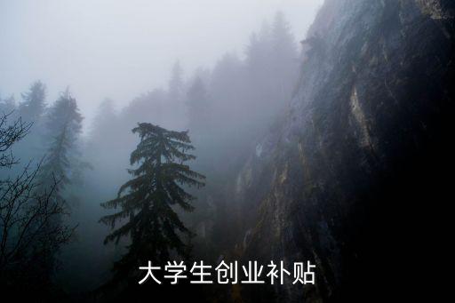 大學生創業補貼
