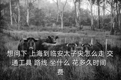 想問下 上海到臨安太子尖怎么走 交通工具 路線 坐什么 花多久時間 費(fèi)
