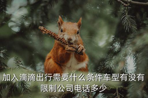 加入滴滴出行需要什么條件車型有沒(méi)有限制公司電話多少