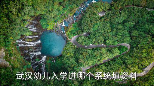 武漢幼兒入學進哪個系統填資料