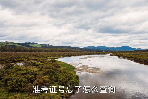 準考證號忘了怎么查詢