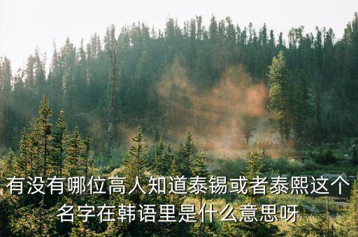 有沒有哪位高人知道泰錫或者泰熙這個名字在韓語里是什么意思呀