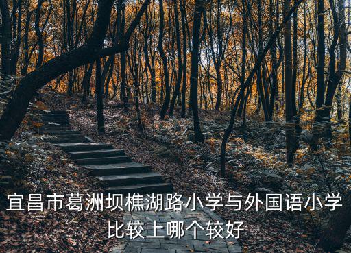 星執外國語小學，黃浦區和盧灣區合并后 小學推薦哪些個 1 上外黃浦外國語小學怎