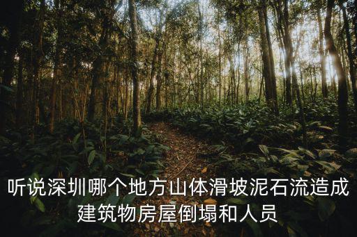 聽說深圳哪個地方山體滑坡泥石流造成建筑物房屋倒塌和人員
