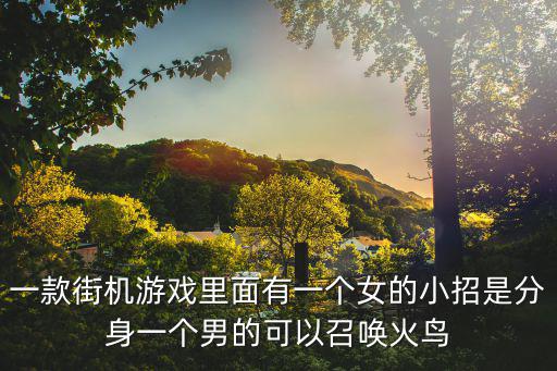 一款街機(jī)游戲里面有一個(gè)女的小招是分身一個(gè)男的可以召喚火鳥