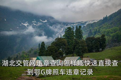 湖北交管網違章查詢怎樣能快速直接查到鄂G牌照車違章記錄