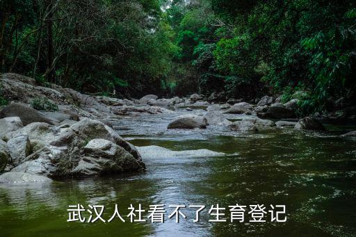 武漢人社看不了生育登記