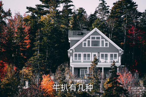 牛扒有幾種