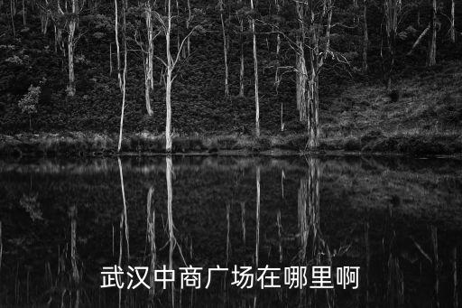 武漢中商廣場在哪里啊