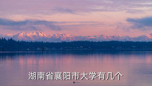 湖南省襄陽市大學有幾個