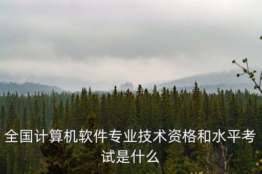 計算機技術與軟件專業技術資格考試，全國計算機軟件專業技術資格和水平考試是什么