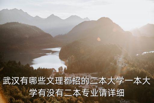 武漢有哪些文理都招的二本大學一本大學有沒有二本專業請詳細