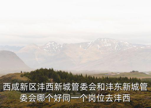 西咸新區灃西新城管委會和灃東新城管委會哪個好同一個崗位去灃西