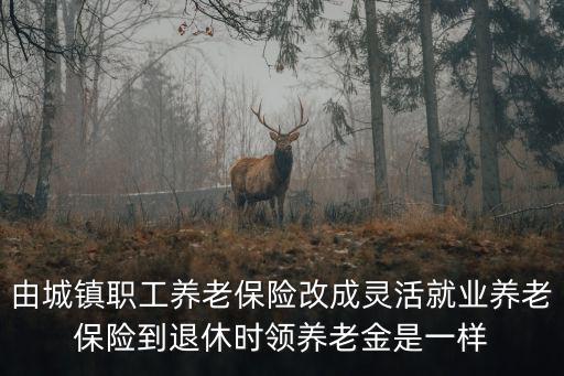 由城鎮(zhèn)職工養(yǎng)老保險(xiǎn)改成靈活就業(yè)養(yǎng)老保險(xiǎn)到退休時(shí)領(lǐng)養(yǎng)老金是一樣