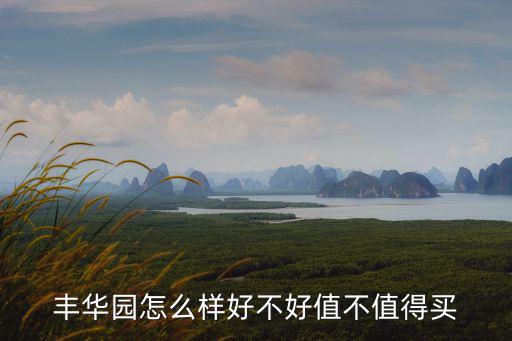 豐華園怎么樣好不好值不值得買(mǎi)