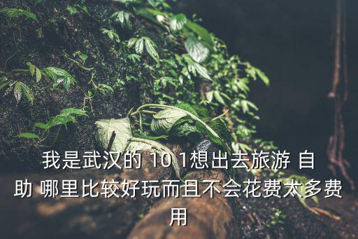 我是武漢的 10 1想出去旅游 自助 哪里比較好玩而且不會(huì)花費(fèi)太多費(fèi)用