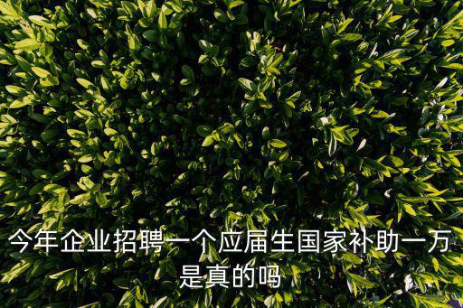 應(yīng)屆生補(bǔ)貼，應(yīng)屆畢業(yè)生就業(yè)企業(yè)會有補(bǔ)助么