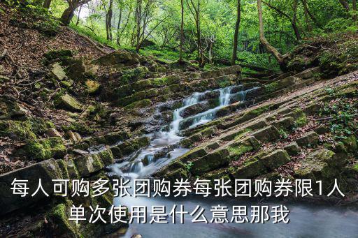 每人可購多張團購券每張團購券限1人單次使用是什么意思那我