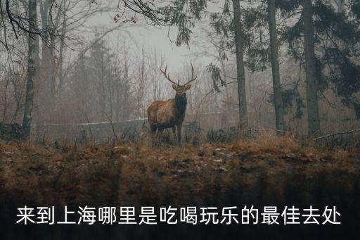來到上海哪里是吃喝玩樂的最佳去處