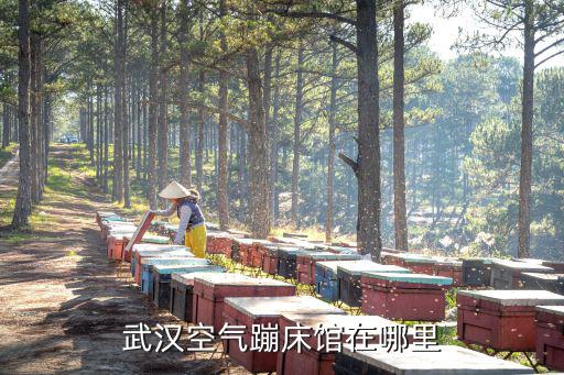 武漢空氣蹦床館在哪里