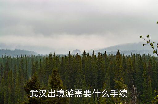 武漢出境游需要什么手續