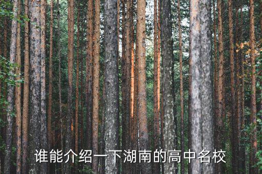 誰能介紹一下湖南的高中名校