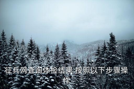 征兵網(wǎng)查詢體檢結(jié)果 按照以下步驟操作