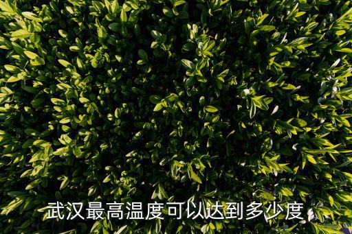 武漢最高溫度可以達到多少度