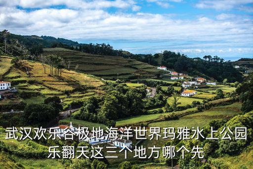 武漢歡樂谷極地海洋世界瑪雅水上公園樂翻天這三個地方哪個先
