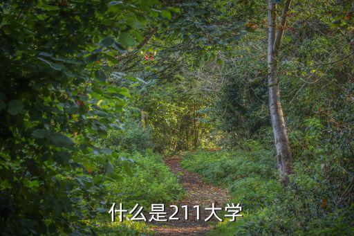 211是什么大學，211是什么大學