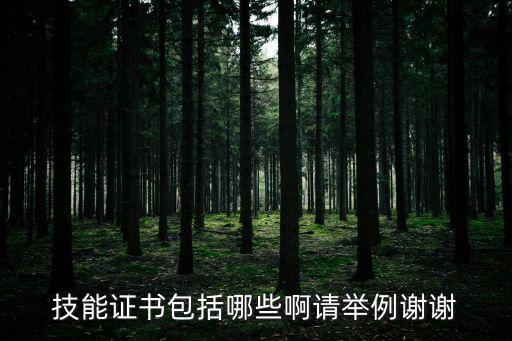 技能證書包括哪些啊請舉例謝謝