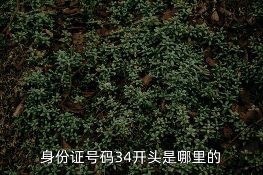 身份證號碼34開頭是哪里的