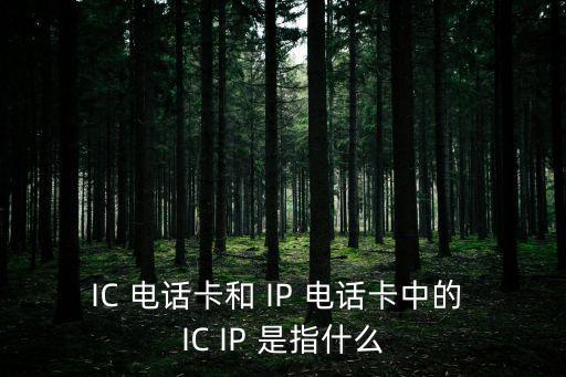 IC 電話卡和 IP 電話卡中的 IC IP 是指什么