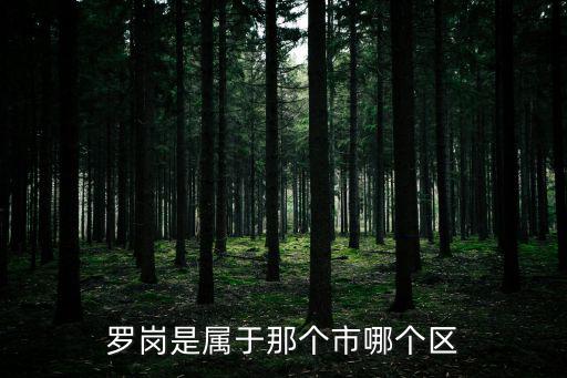 羅崗是屬于那個(gè)市哪個(gè)區(qū)