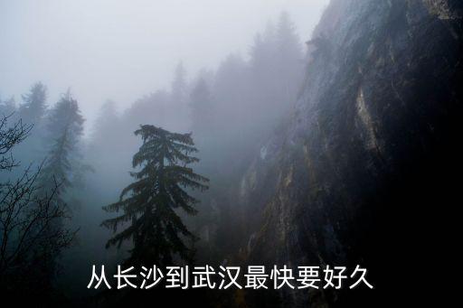 從長沙到武漢最快要好久