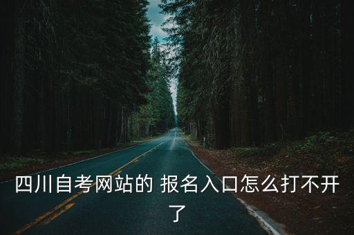 四川自考網站的 報名入口怎么打不開了
