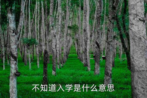 不知道入學(xué)是什么意思