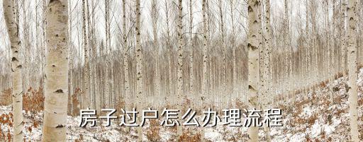 房子過戶怎么辦理流程