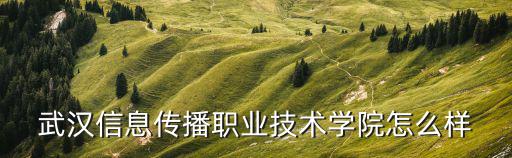 武漢信息傳播職業(yè)技術(shù)學(xué)院怎么樣