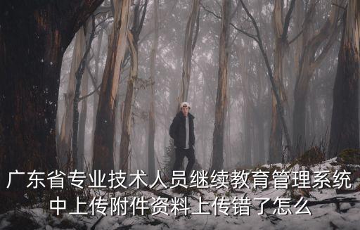 廣東省專業技術人員繼續教育管理系統中上傳附件資料上傳錯了怎么