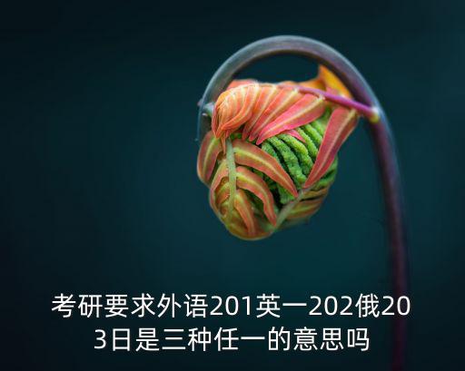 考研要求外語201英一202俄203日是三種任一的意思嗎