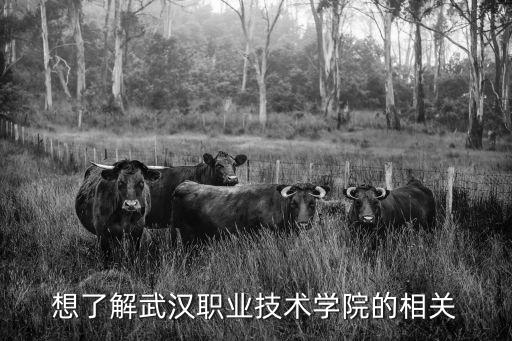 想了解武漢職業(yè)技術(shù)學(xué)院的相關(guān)