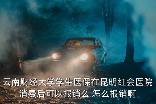 云南財經(jīng)大學(xué)學(xué)生醫(yī)保在昆明紅會醫(yī)院消費(fèi)后可以報銷么 怎么報銷啊